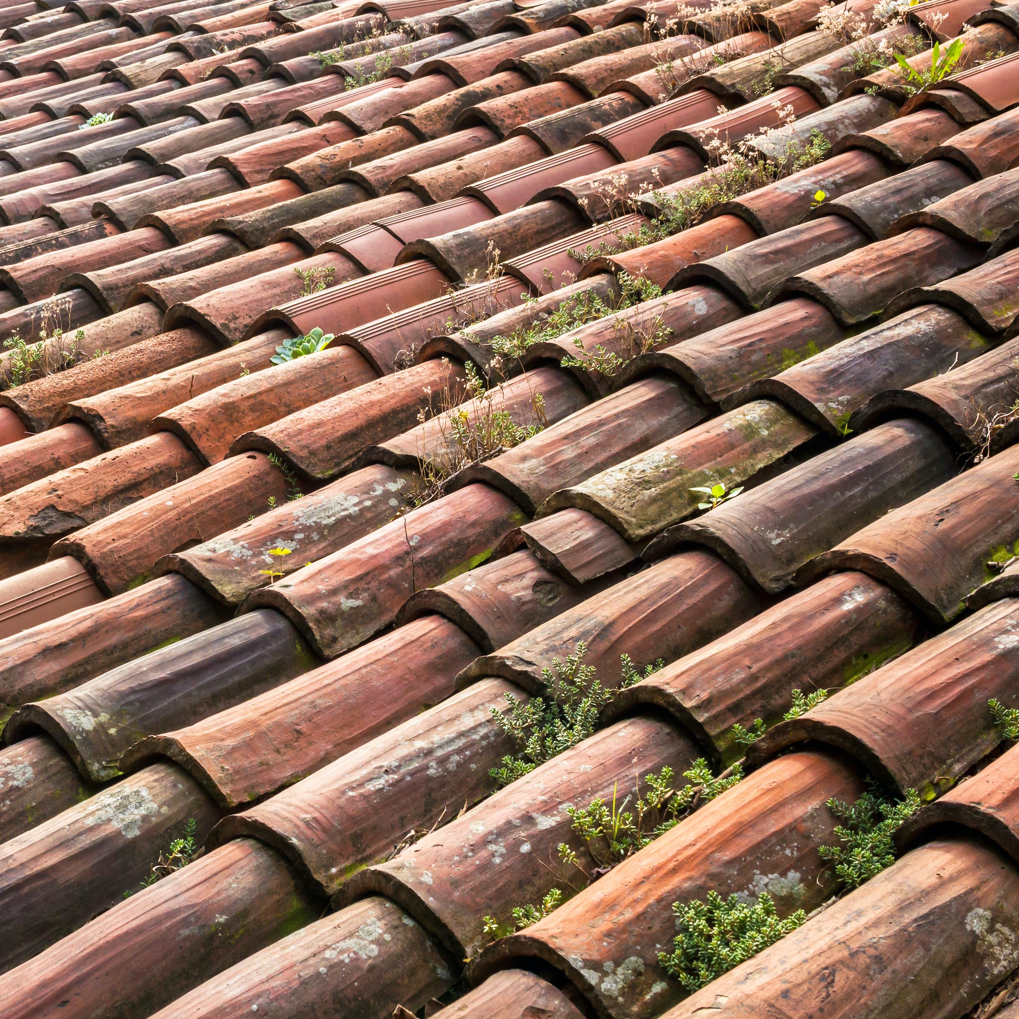 Old roofing tiles